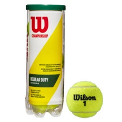 Wilson Championship Regular Duty Tennis Balls