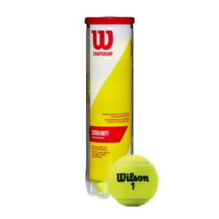 Wilson Championship Extra Duty Tennis Balls (4 Ball Can)